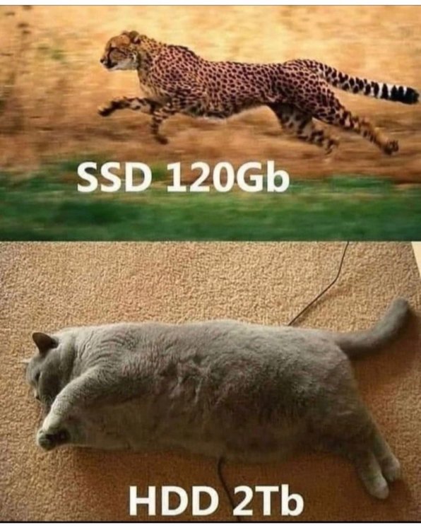 50C83D0B-4885-4EEA-A646-0F6B5173D526.jpeg